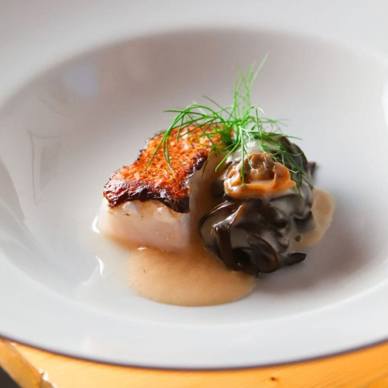 WhatsApp Image 2026-02-05 at 1.01.50 PM (1)