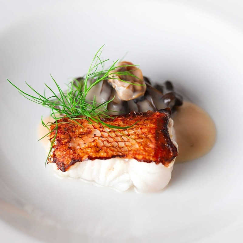 WhatsApp Image 2026-02-05 at 1.01.52 PM